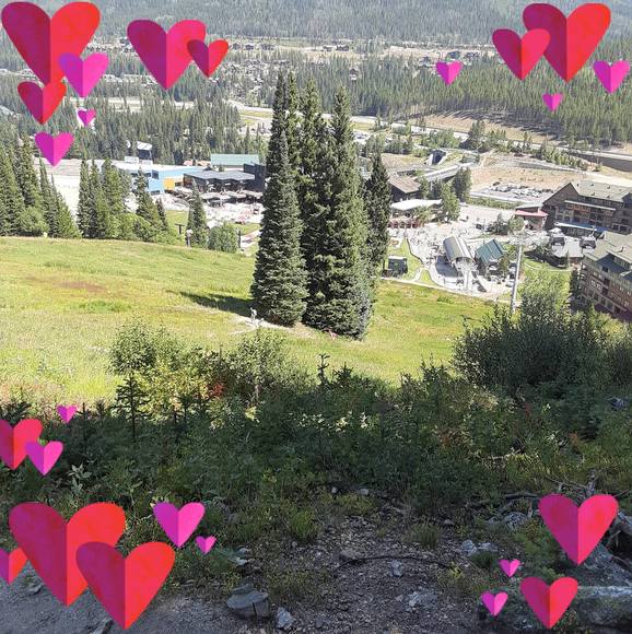 Meet your Posher, Adriana - Picture 1 of 1